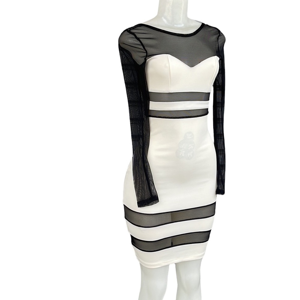 Codigo Lace Sheer Mesh Above Knee Dress Size S